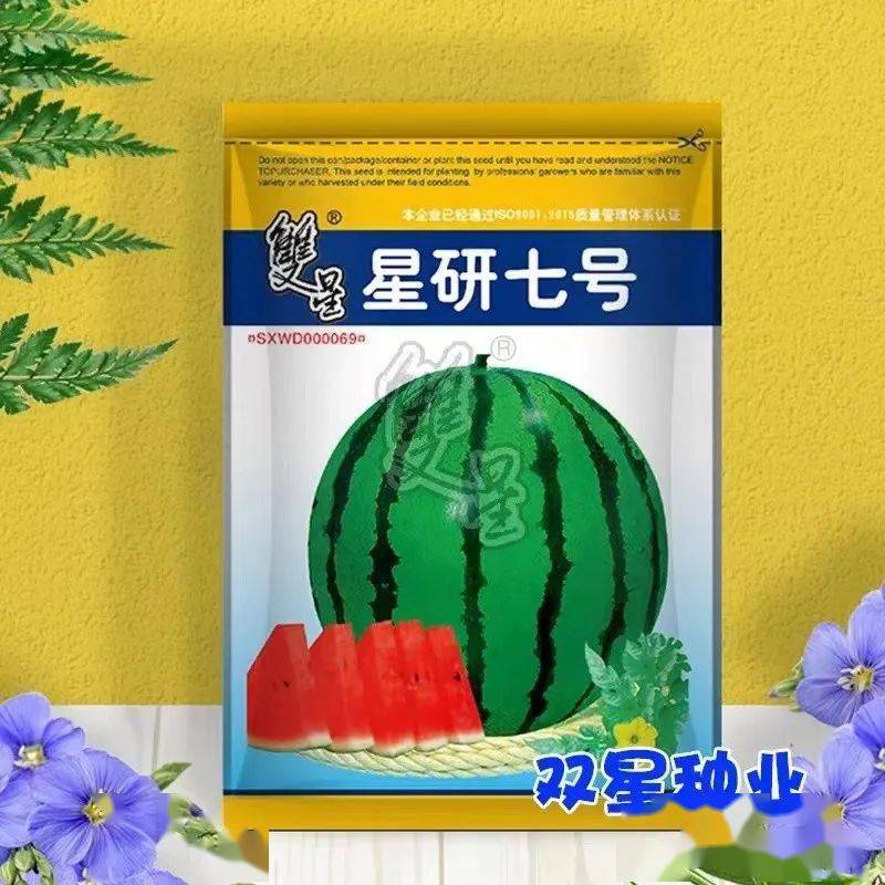 【西瓜种植技术】西瓜种植技术和管理