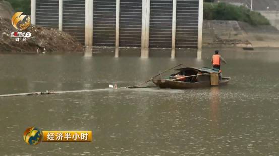 养殖水牛效益怎么样_养水牛致富经_养殖水牛