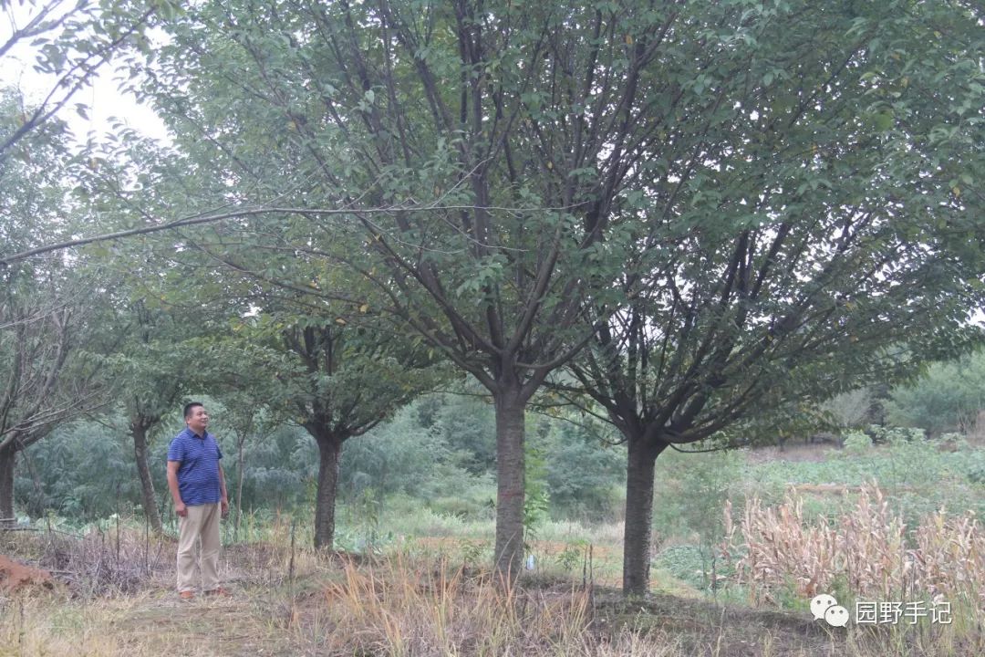 养水牛赚钱吗_养水牛致富经_养殖水牛效益怎么样