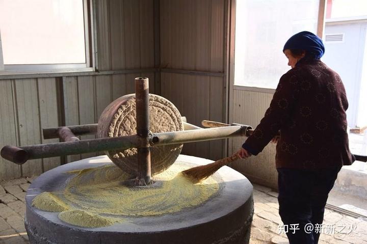 豆麦是什么植物_麦豆种植技术_豆麦种植技术与管理