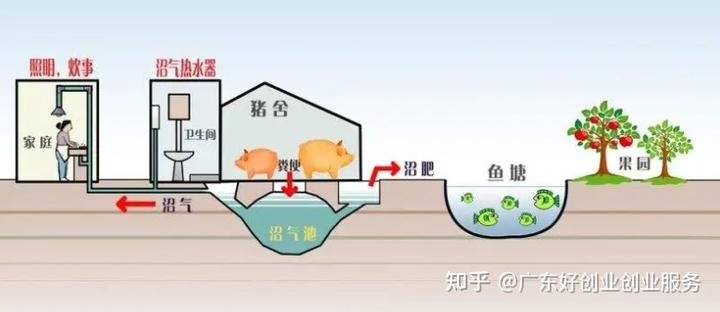 致富好项目种植_冷门种植致富品种_致富冷门项目