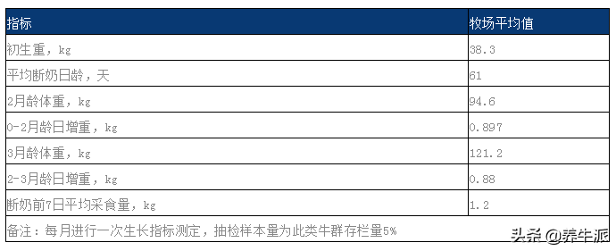 山东养牛_山东养牛业_山东牛养殖技术