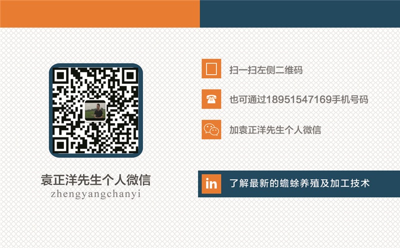 致富经cctv7养青蛙视频_致富经cctv7养青蛙视频_致富经cctv7养青蛙视频