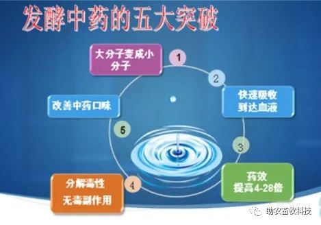 视频养殖猪肉技术大全_肉猪养殖技术视频_视频养殖猪肉技术教程