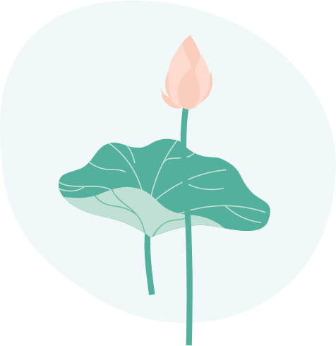 藕的种植技术及效益_藕带怎么种植技术_藕种植
