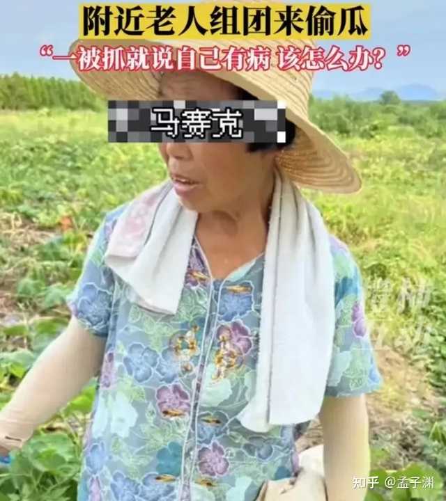 致富经南瓜种植视频_种植南瓜赚钱吗_绿南瓜种植致富