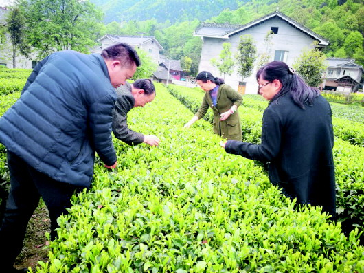 养殖黑斑蛙失败案例_黑斑蛙养殖利润有多少_湖南黑斑蛙养殖技术