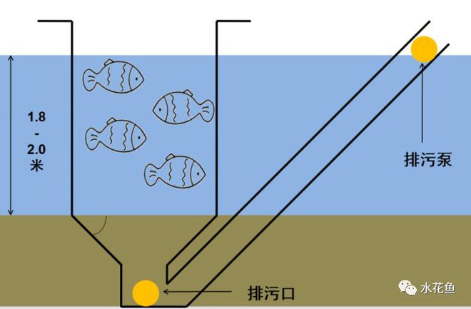 致富经循环水养鱼视频_致富经活水养鱼_农村循环水养鱼致富经