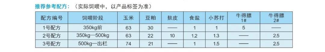 白鸭养殖技术视频_北京大白鸭养殖技术_白鸭养殖视频