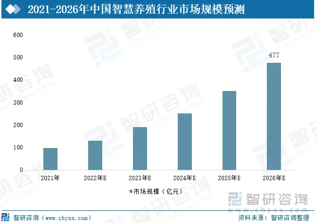 养羊致富新闻_农业频道致富经养殖业羊_农业养殖致富项目养羊