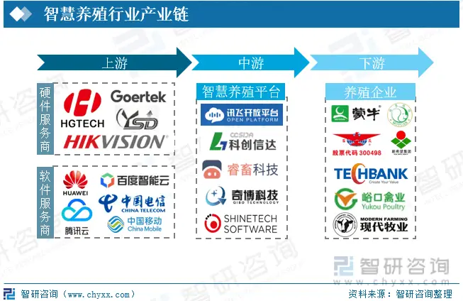 农业养殖致富项目养羊_养羊致富新闻_农业频道致富经养殖业羊