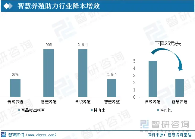 养羊致富新闻_农业养殖致富项目养羊_农业频道致富经养殖业羊