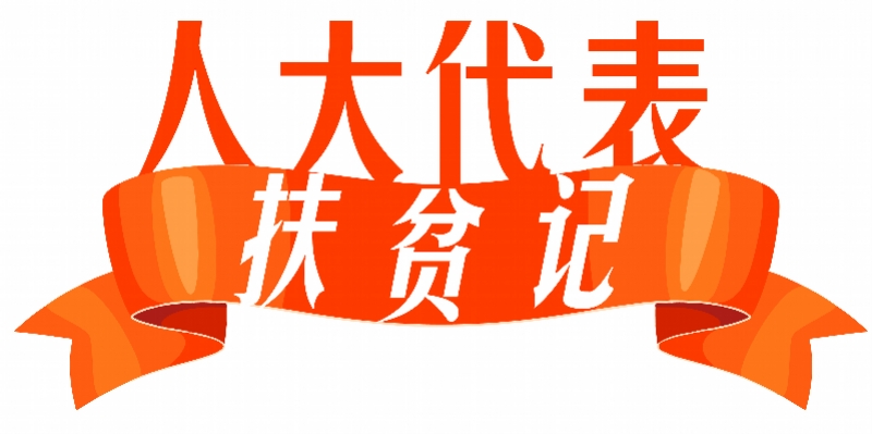 全国人大代表谢舒雯：组建种植合作社，带领村民种茶脱贫