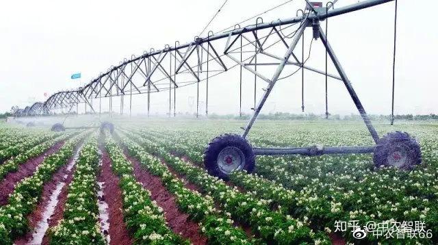 养殖奶牛技术规范_奶牛养殖技术_奶牛养殖流程