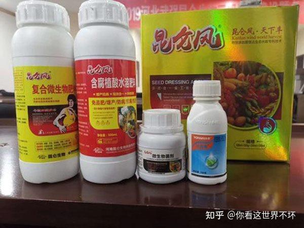 黄瓜幼苗种植技术与管理_黄瓜幼苗种植技术要点_黄瓜的幼苗 种植技术