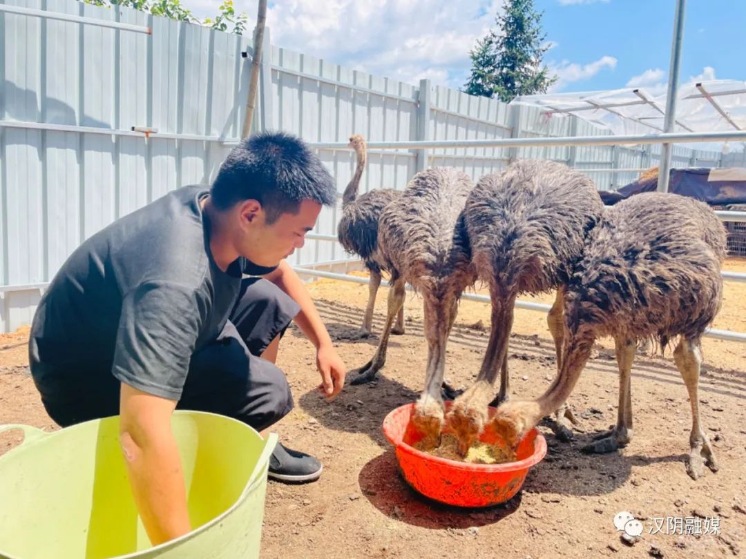 东北创业好项目养殖_东北养殖业致富项目_东北农村养殖致富项目