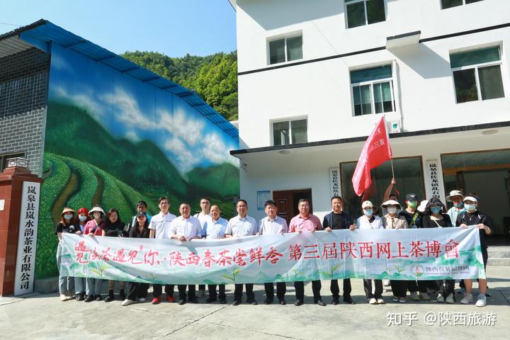 种植茶叶利润怎么样_茶叶种植效益_种植茶叶致富视频