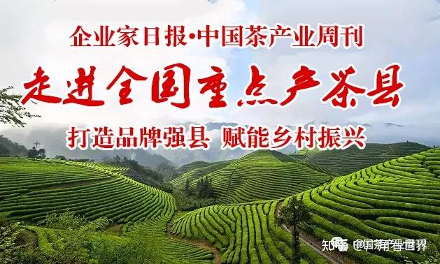 《中国茶产业周刊》走进全国重点产茶县