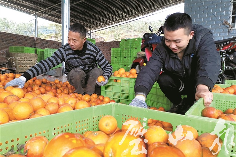 父子俩的“致富经”