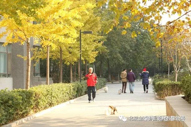 物业典型优质经验服务方案_物业服务经验分享_物业优质服务典型经验