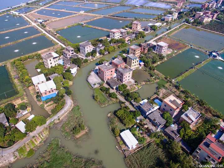 淡水鳗鱼养殖技术视频_鳗鱼可以淡水养殖技术_养殖淡水鳗视频