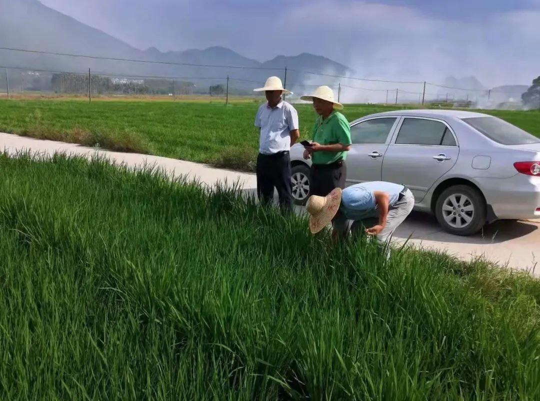 致富种植视频全集_致富种植什么比较赚大钱_种植能致富