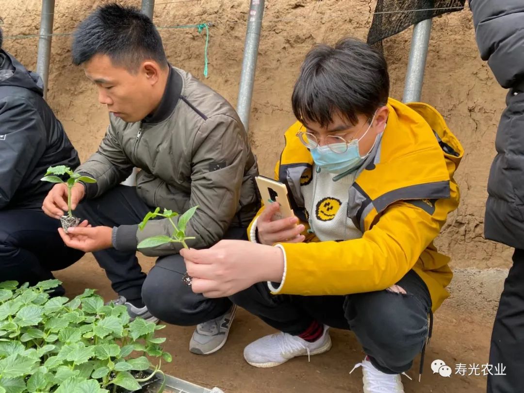 种植甜瓜赚钱吗_农广天地甜瓜种植技术视频_旱甜瓜种植致富