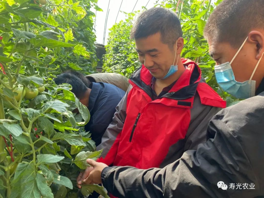 农广天地甜瓜种植技术视频_旱甜瓜种植致富_种植甜瓜赚钱吗