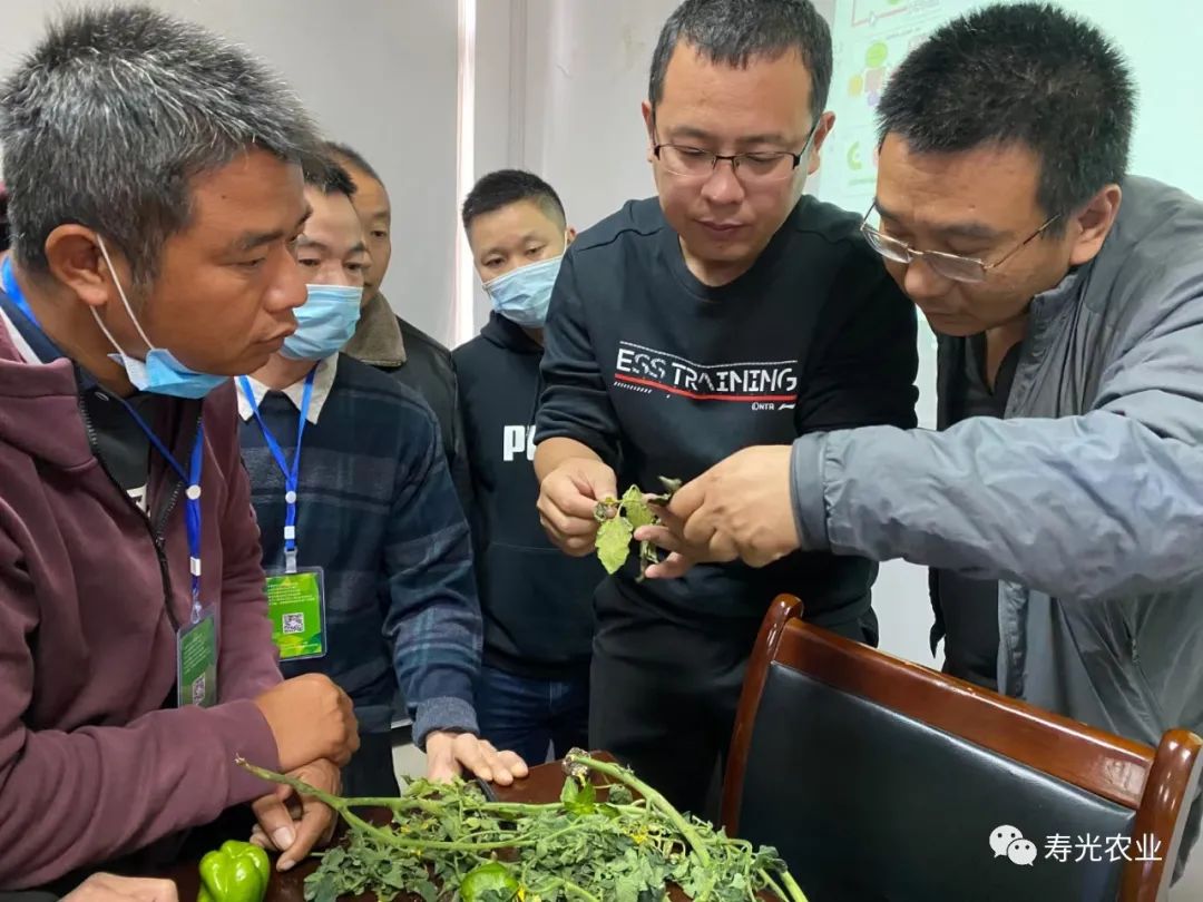 种植甜瓜赚钱吗_农广天地甜瓜种植技术视频_旱甜瓜种植致富