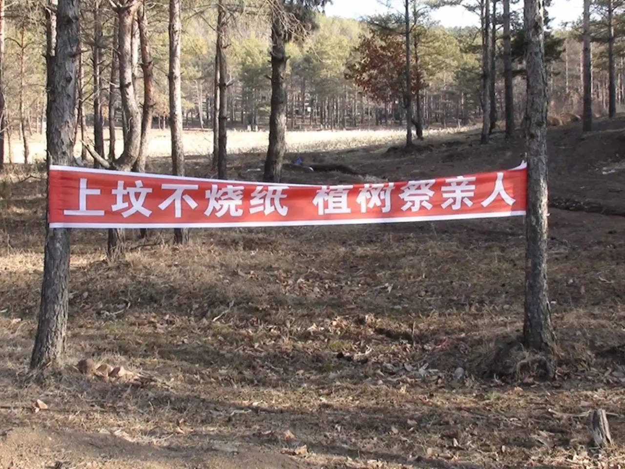 甜瓜种植条件_旱甜瓜种植致富_致富经甜瓜种植视频