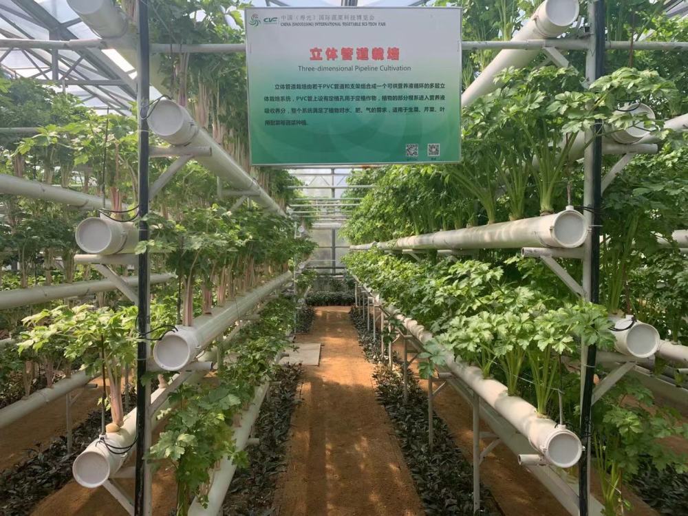 西瓜种植视频农广_西瓜种植农场_农广天地西瓜种植技术