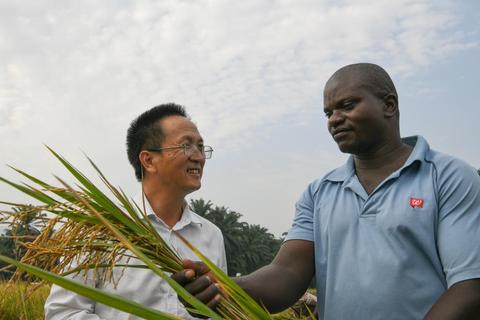 高白鲑养殖_高白鲑产地在哪里_致富经高白鲑