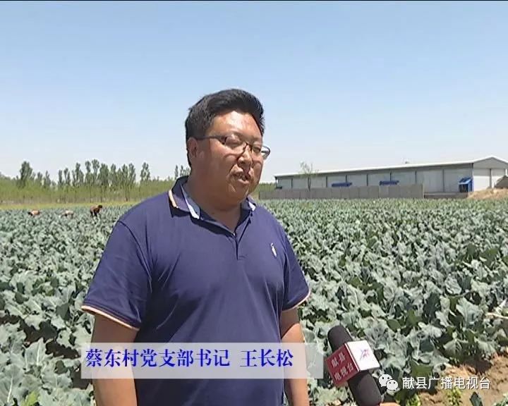 农广天地西兰花种植视频_种植西兰花赚钱吗_种植西兰花致富