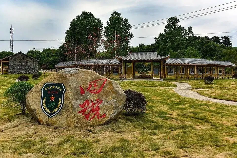 致富种植艾草故事视频_种植艾草致富故事_种植艾草挣钱吗