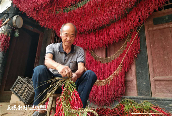 借得东风铺锦绣 “三色”产业别样红,大方县鼎新乡处处好“丰”景