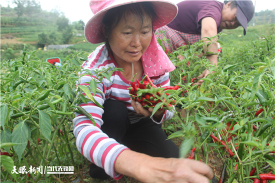 致富红养殖_致富养殖视频_致富经红虫养殖