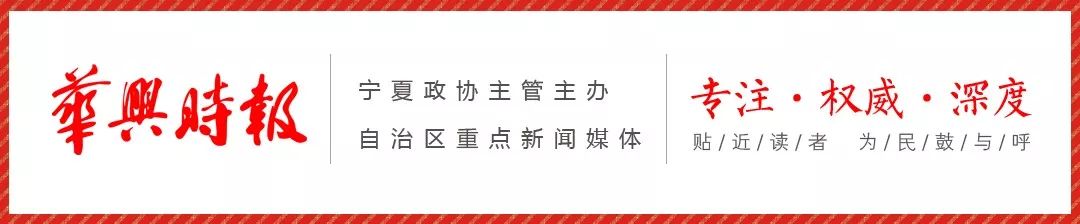 致富经山窝鸡养殖视频_大山养鸡视频_养殖鸡致富经视频