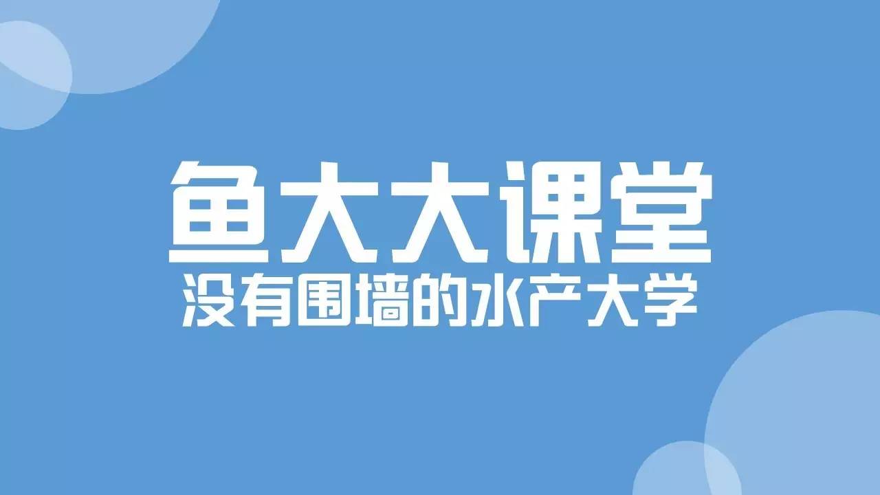 养殖鲢鱼技术与管理_养殖鲢鱼技术要求_养殖鲢鱼技术