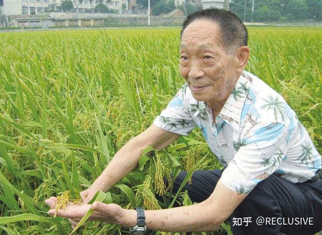 养殖鳝鱼视频_养殖鳝鱼旱地技术视频_旱地鳝鱼养殖技术