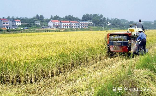 养殖鳝鱼旱地技术视频_养殖鳝鱼视频_旱地鳝鱼养殖技术