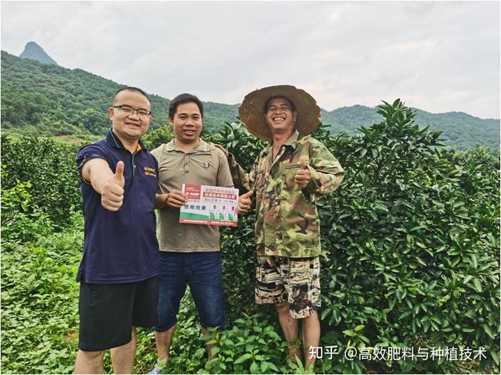 柑橘种植技术视频_柑橘种植技术_柑橘种植技术与管理