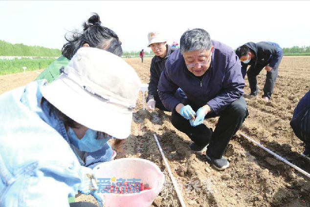 万书波获山东科技最高奖：38年“沉醉”花生增产，屡创世界纪录