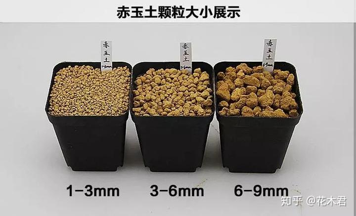 视频野生木耳种植技术教程_野生木耳怎么养殖_野生木耳种植技术视频