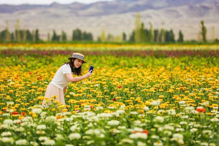 新疆呼图壁：花卉产业铺就芬芳致富路丨大美中国·小康印记