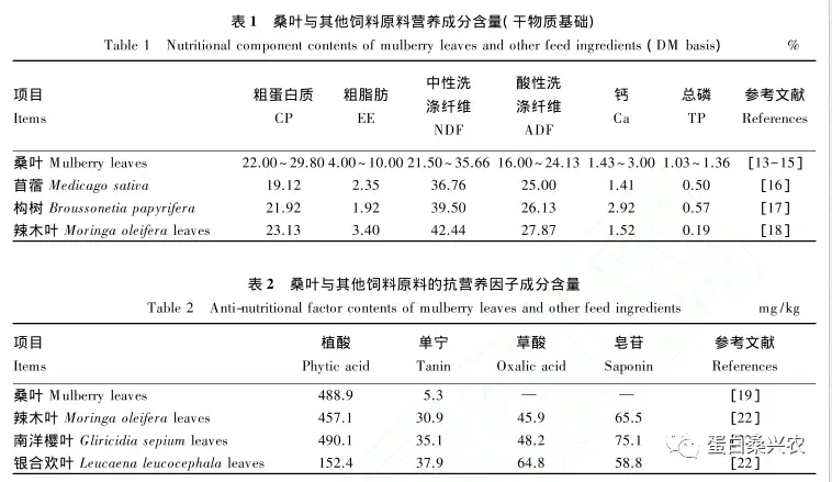 致富经吃桑叶的鸡_桑叶水喂鸡有什么作用_桑叶鸡的功效和作用