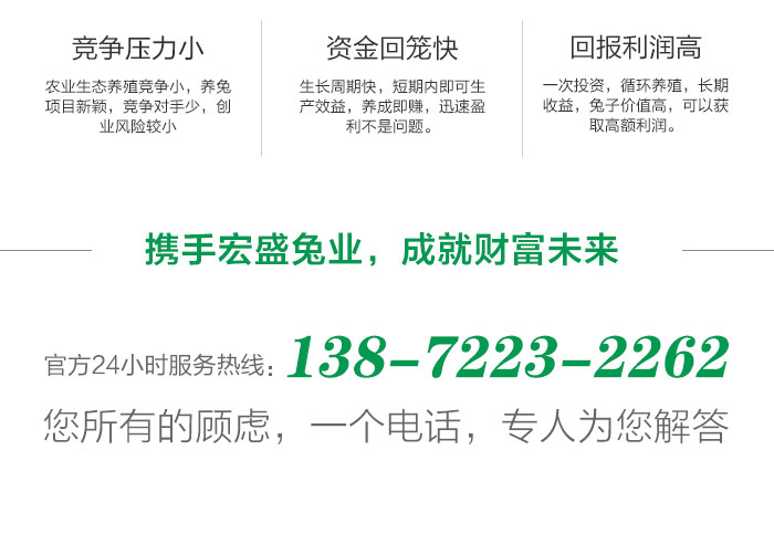 湖北养兔基地_湖北兔子养殖场_湖北养殖肉兔技术