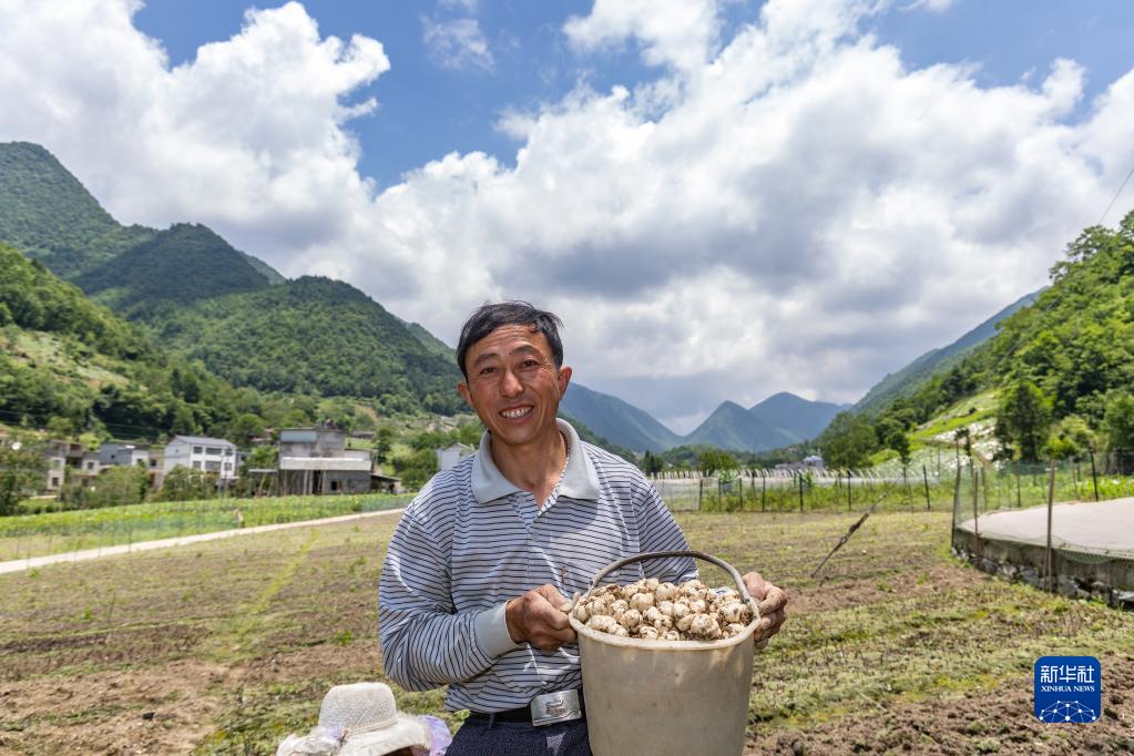 重庆种植业致富项目_重庆农民种什么_重庆农村种植致富