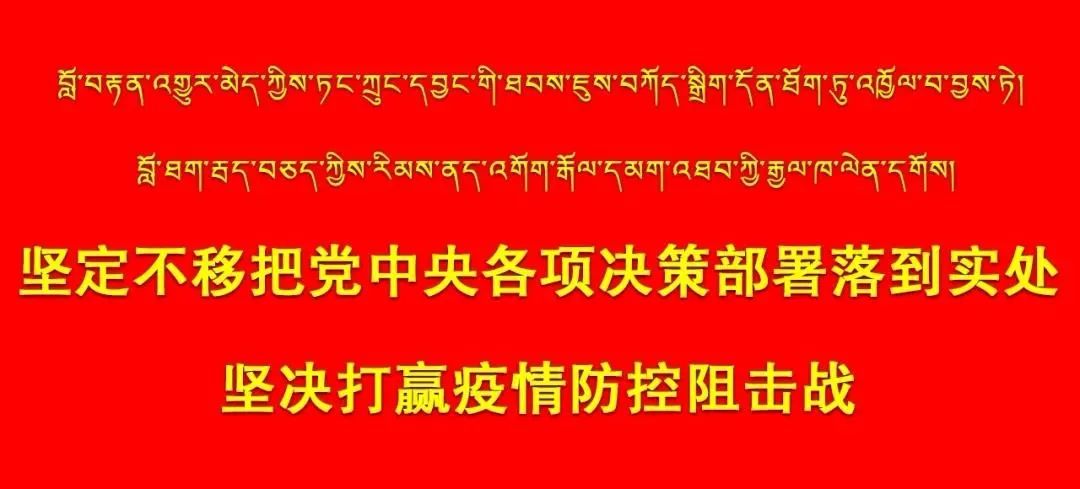 养鸡视频致富经_养殖致富养鸡视频_养殖鸡致富经视频