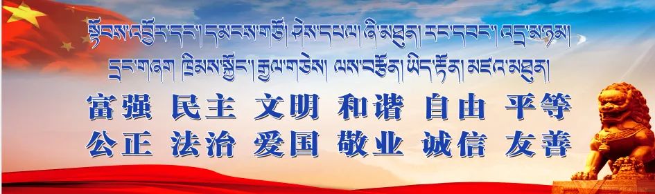 养鸡视频致富经_养殖致富养鸡视频_养殖鸡致富经视频