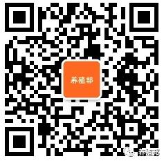 野山鸡养殖成本与利润_野山鸡养殖技术_怎样养殖野山鸡致致富经